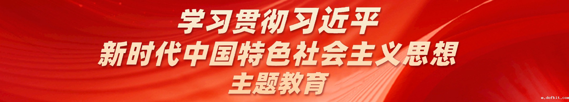 学习贯彻习近平新时代中国特色社会主义思想主题教育