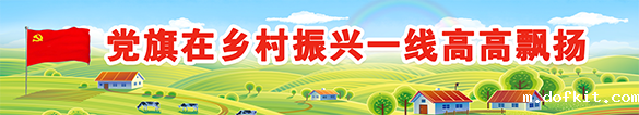 党旗在乡村振兴一线高高飘扬